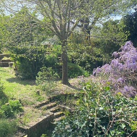 Agriturismo Solidor Pitigliano Zewnętrze zdjęcie