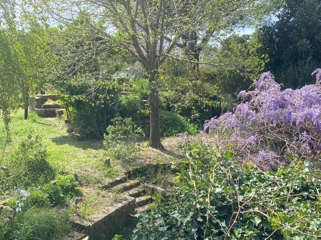 Agriturismo Solidor Pitigliano Zewnętrze zdjęcie