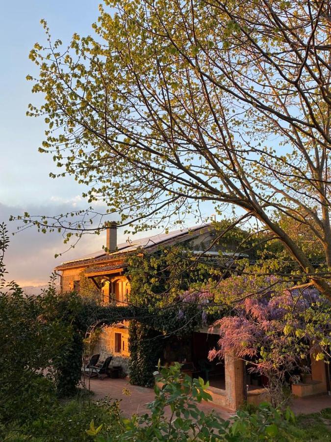 Agriturismo Solidor Pitigliano Zewnętrze zdjęcie