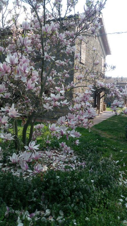 Agriturismo Solidor Pitigliano Zewnętrze zdjęcie