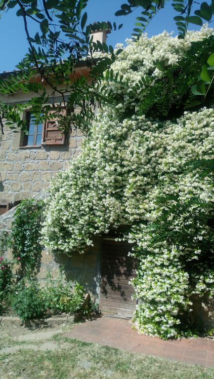 Agriturismo Solidor Pitigliano Zewnętrze zdjęcie